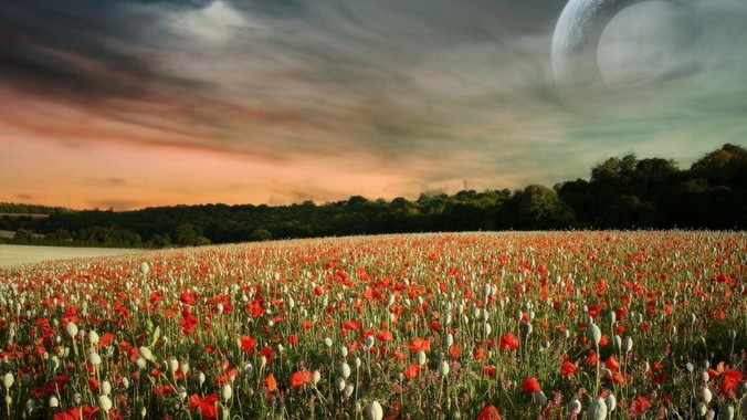 特斯拉宣布将于 6 月 22 日开始 Robotaxi 公开试运营，这将对自动驾驶行业带来哪些影响？